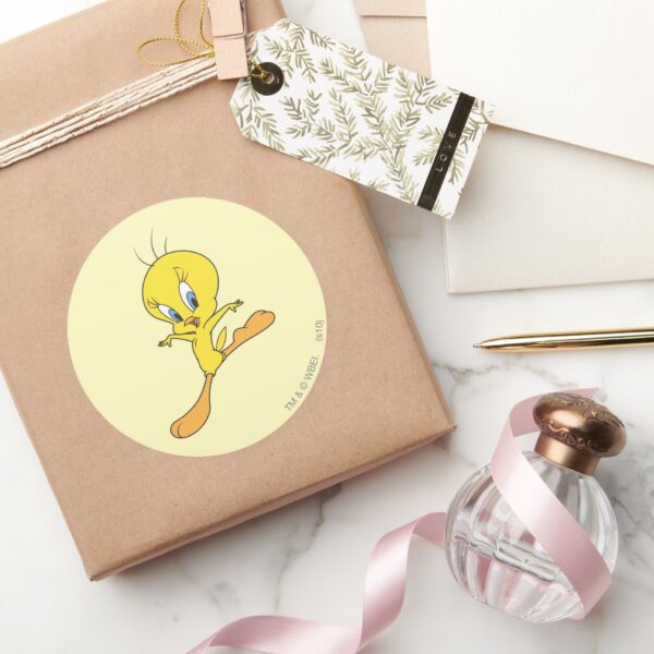 TWEETY™_Landing_Classic_Round_Sticker_5 TWEETY™ Landing Classic Round Sticker