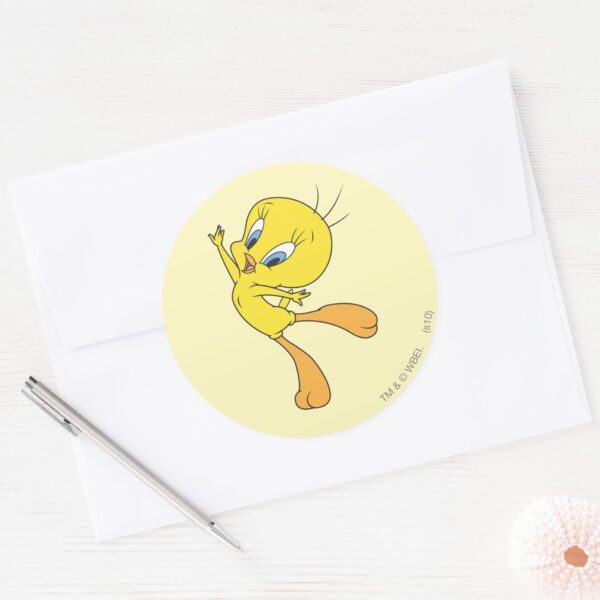 TWEETY™_See_Me_Fly_Classic_Round_Sticker_3 TWEETY™ See Me Fly Classic Round Sticker