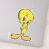 TWEETY™_Shy_Sticker_1 TWEETY™ Shy Sticker