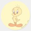 TWEETY™_Standing_Up_Straight_Classic_Round_Sticker_1 TWEETY™ Standing Up Straight Classic Round Sticker