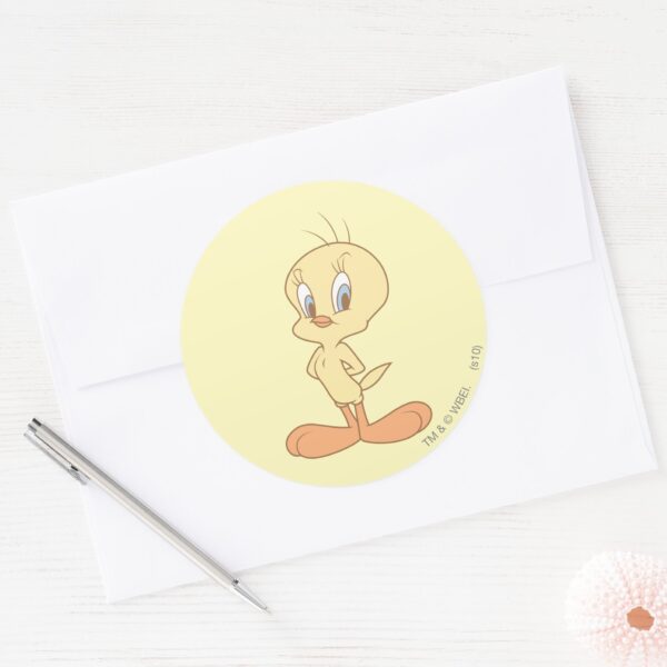 TWEETY™_Standing_Up_Straight_Classic_Round_Sticker_3 TWEETY™ Standing Up Straight Classic Round Sticker