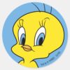 TWEETY™___Clever_Bird_Classic_Round_Sticker_1 TWEETY™ Clever Bird Classic Round Sticker