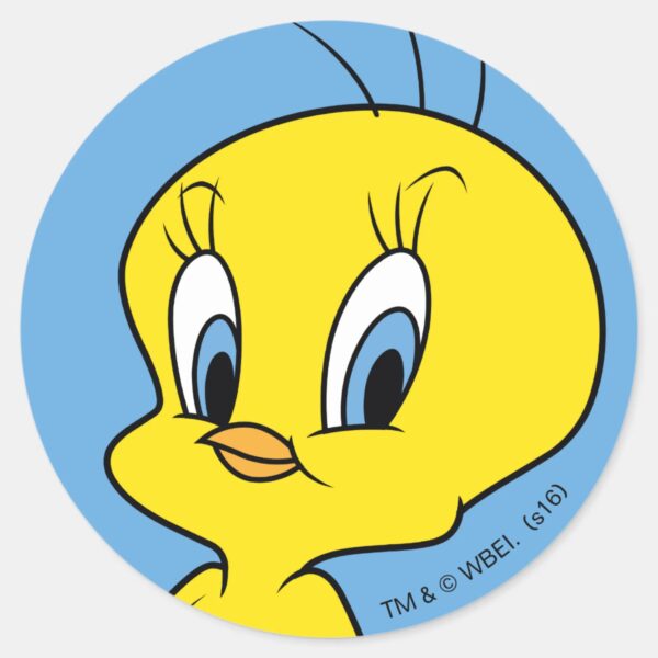 TWEETY™___Clever_Bird_Classic_Round_Sticker_1 TWEETY™ Clever Bird Classic Round Sticker
