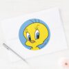 TWEETY™___Clever_Bird_Classic_Round_Sticker_3 TWEETY™ Clever Bird Classic Round Sticker