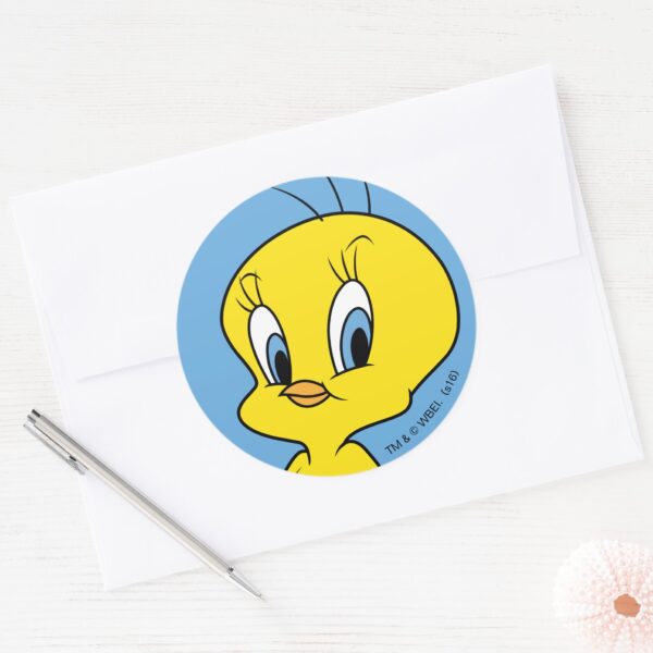 TWEETY™___Clever_Bird_Classic_Round_Sticker_3 TWEETY™ Clever Bird Classic Round Sticker