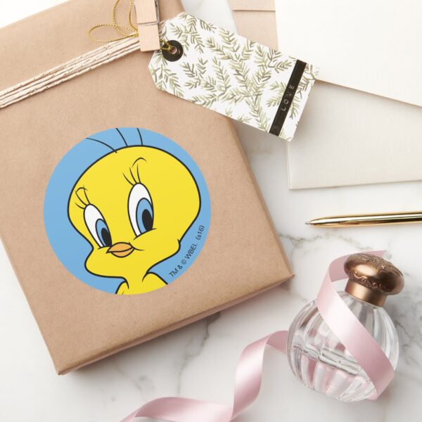 TWEETY™___Clever_Bird_Classic_Round_Sticker_5 TWEETY™ Clever Bird Classic Round Sticker