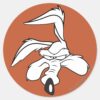 WILE_E._COYOTE™_Head_Shot_Classic_Round_Sticker_1 WILE E. COYOTE™ Head Shot Classic Round Sticker