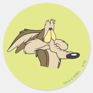 WILE E. COYOTE™ Impending Doom Classic Round Sticker