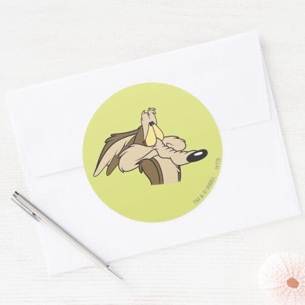 WILE_E._COYOTE™_Impending_Doom_Classic_Round_Sticker_3 WILE E. COYOTE™ Impending Doom Classic Round Sticker