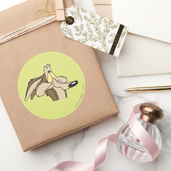 WILE_E._COYOTE™_Impending_Doom_Classic_Round_Sticker_5 WILE E. COYOTE™ Impending Doom Classic Round Sticker