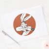 WILE_E._COYOTE™_Looking_sneaky_Classic_Round_Sticker_3 WILE E. COYOTE™ Looking Sneaky Classic Round Sticker