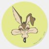 WILE_E._COYOTE™_Pleased_Head_Shot_Classic_Round_Sticker_1 WILE E. COYOTE™ Pleased Head Shot Classic Round Sticker