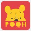 Winnie_the_Pooh___Peek-a-Boo_Pooh_Square_Sticker_1 Winnie The Pooh Peek A Boo Pooh Square Sticker