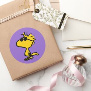 Woodstock In Sunglasses Classic Round Sticker