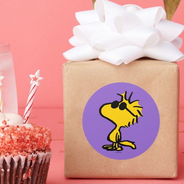 Woodstock_In_Sunglasses_Classic_Round_Sticker_6 Woodstock In Sunglasses Classic Round Sticker