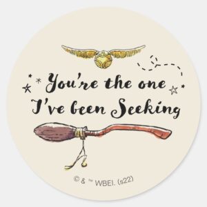 Youre The One Ive Been Seeking Classic Round Sticker