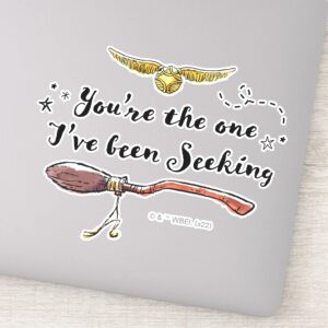 Youre The One Ive Been Seeking Sticker