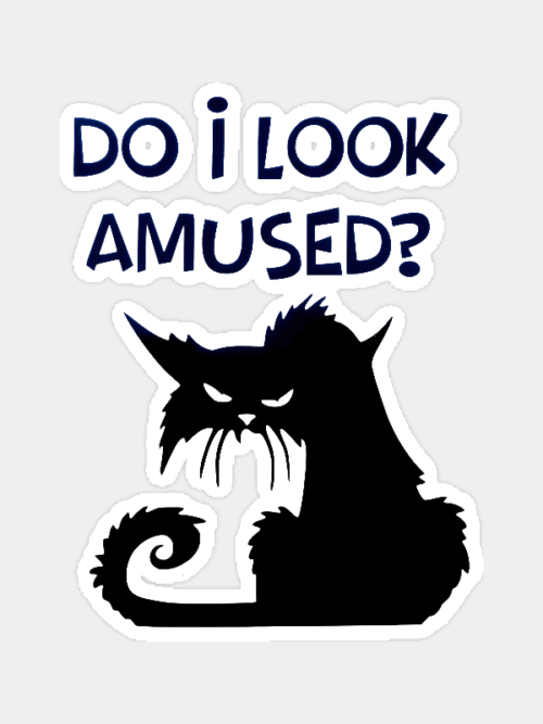 Black Cat Not Amused Energy Sticker