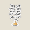 Cat Wisdom Work Hard Dream Big Sticker
