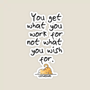 Cat Wisdom Work Hard Dream Big Sticker
