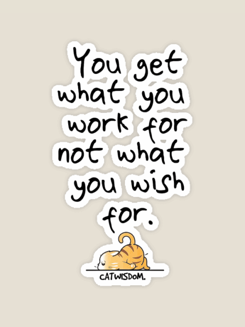 Cat Wisdom Work Hard Dream Big Sticker