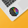 Colorful Brain of Science and Engineering Sticker