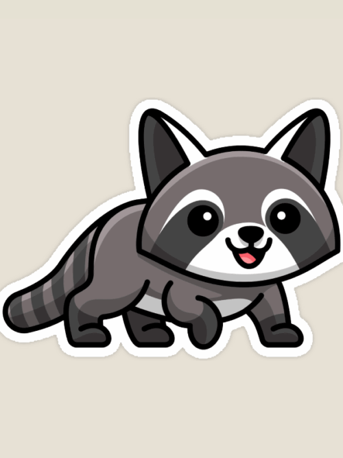 Curious Raccoon Sticker