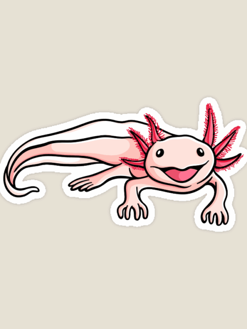 Cute Axolotl Water Dragon Smiling Amphibian Sticker