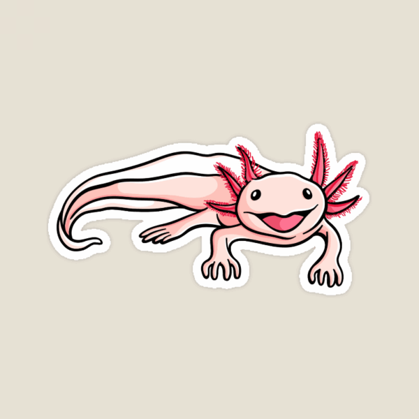 Cute Axolotl Water Dragon Smiling Amphibian Sticker Cute Axolotl Water Dragon Smiling Amphibian Sticker