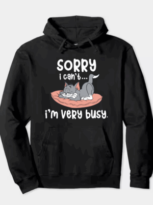Sorry I Cant I Am Very Busy Hoodie