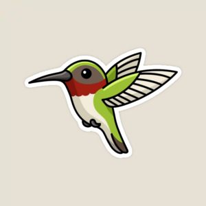Tiny Wings Colorful Nature Hummingbird Sticker