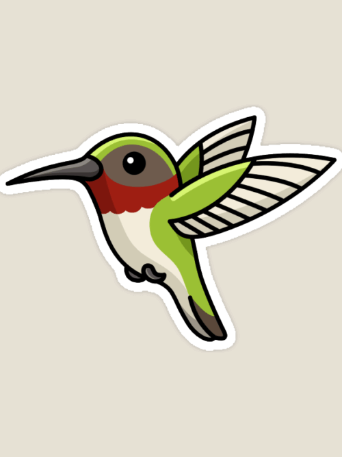 Tiny Wings Colorful Nature Hummingbird Sticker
